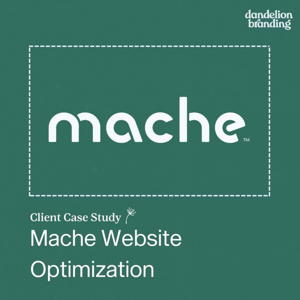 Mache Website Optimization case study from dandelion branding