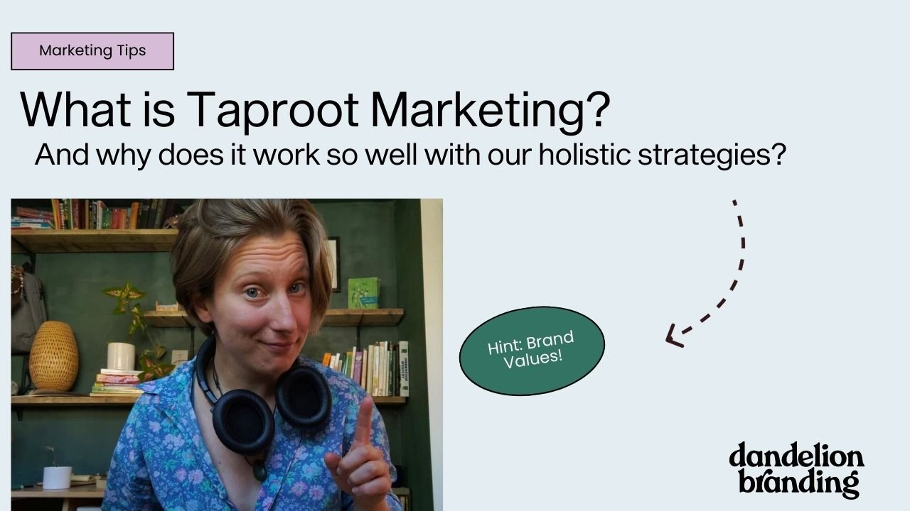 What is Taproot Marketing and why does it work with the Dandelion Branding holistic Strategies? Hint: Brand Values