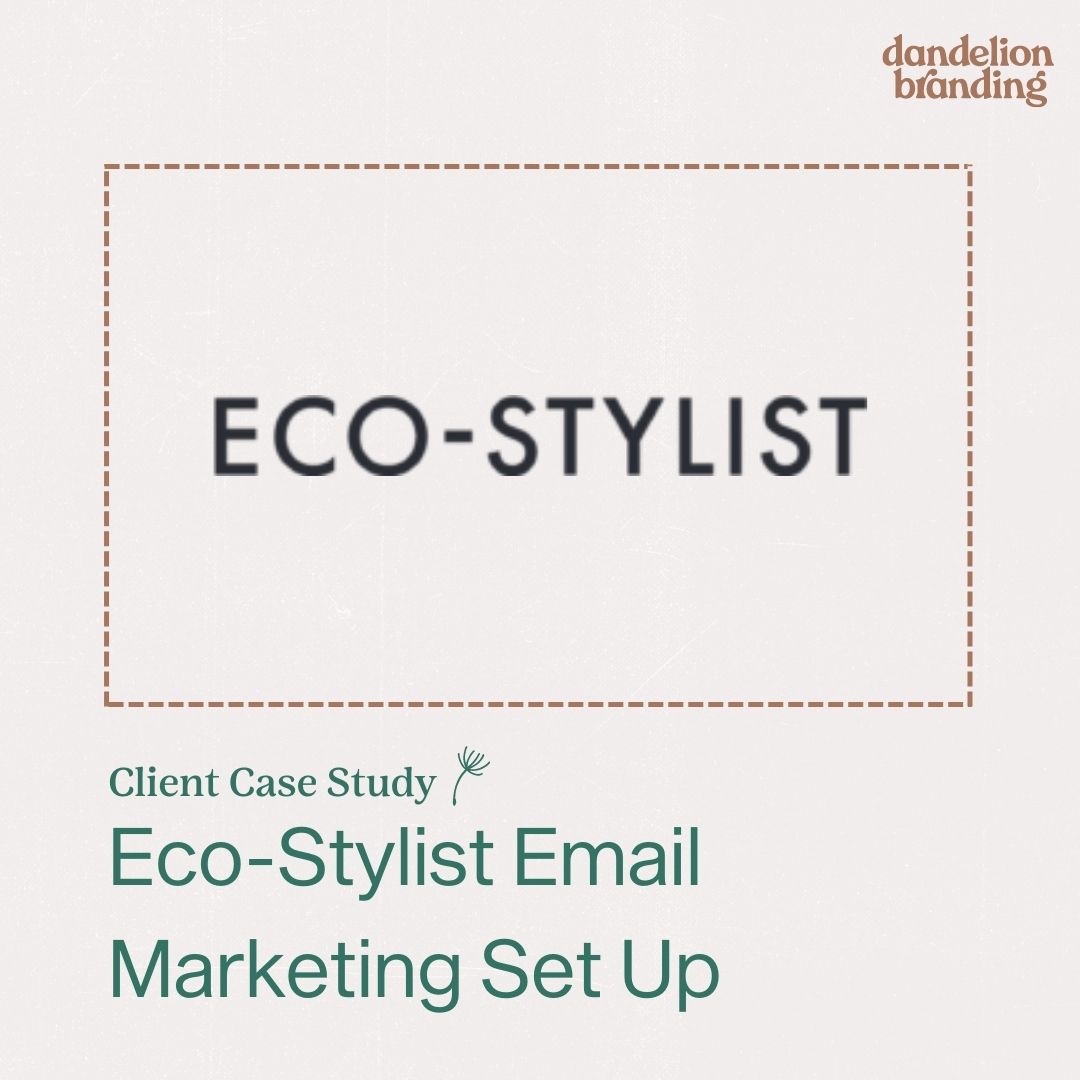 Email Marketing Case Study from Eco-Stylist