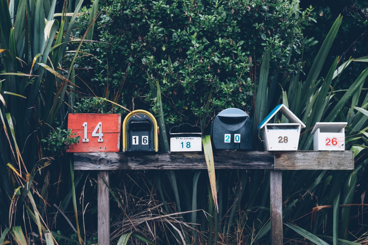 Mailboxes surrounded by plants image for Dandelion Branding Email Best Practices
