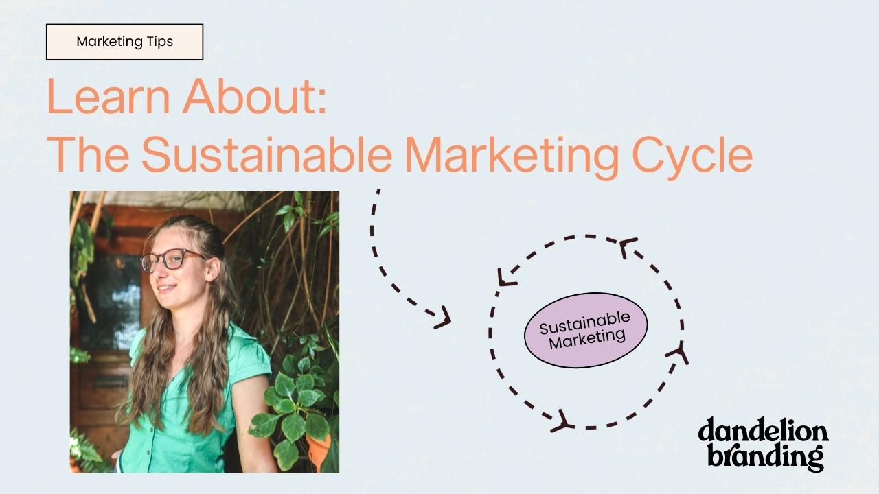 The Sustainable Marketing Cycle