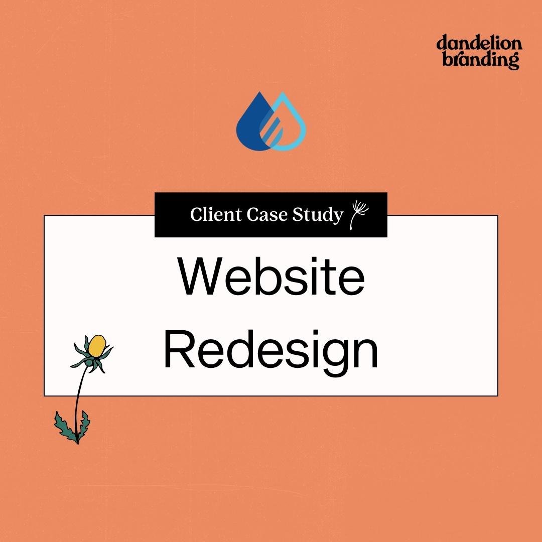 Undesert - Website Redesign Project - Dandelion Branding Client Case Study