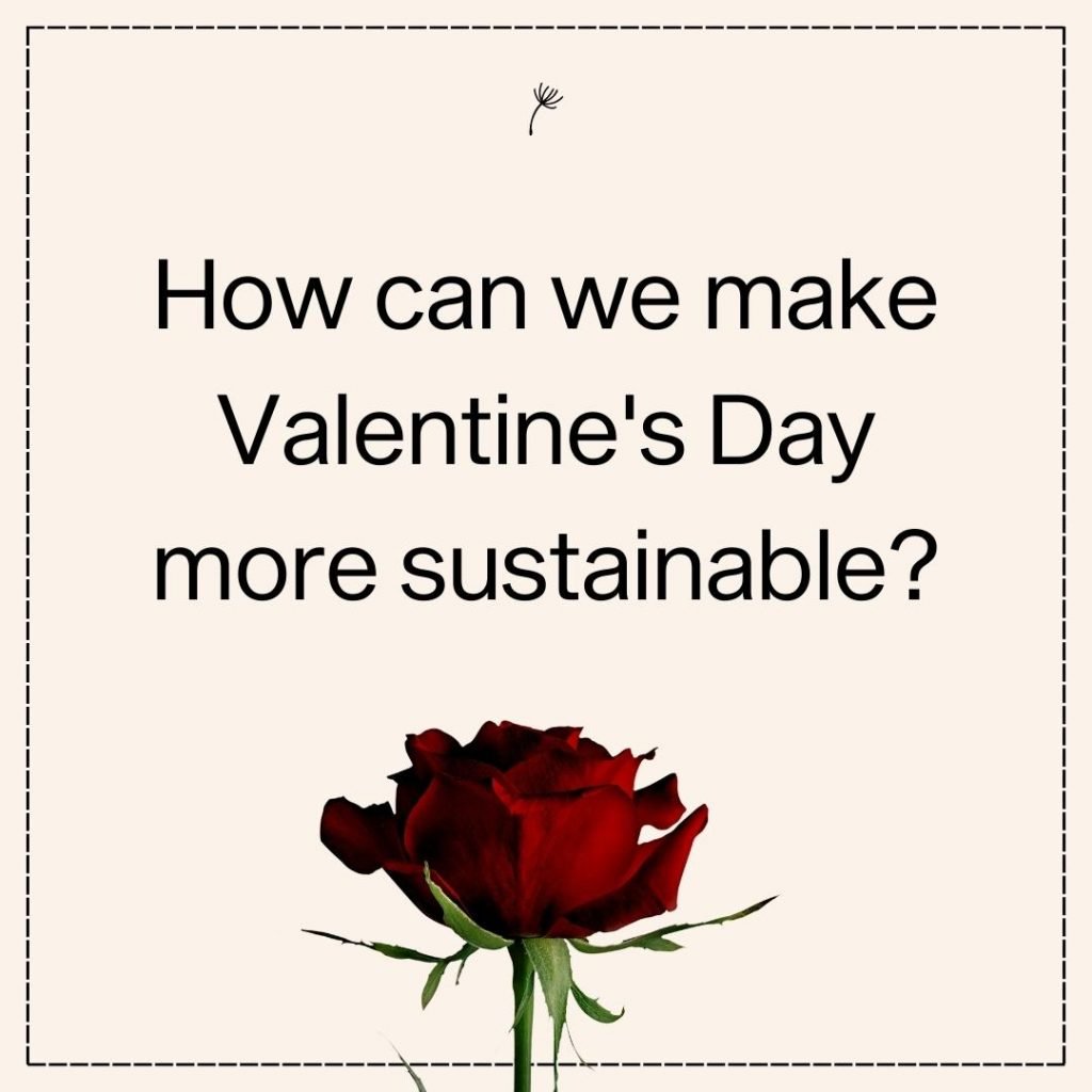Cover Image for Sustainable Valentine's Day - Swipe this Post