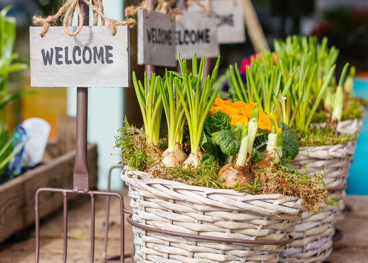 welcome plant baskets for an article about welcome series email