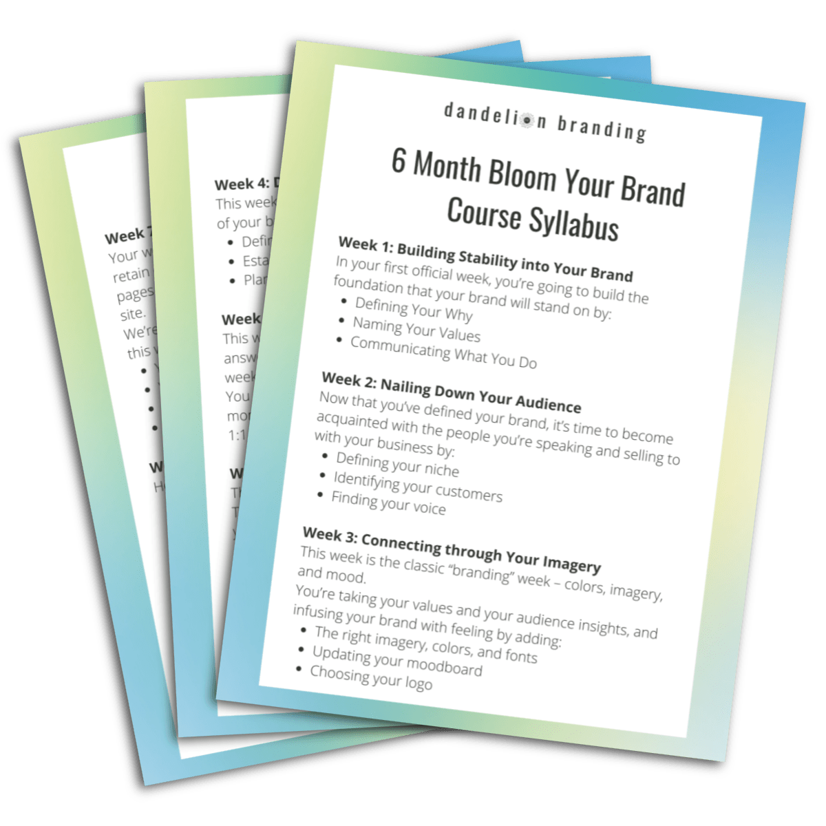 Bloom Your Brand Course Syllabus