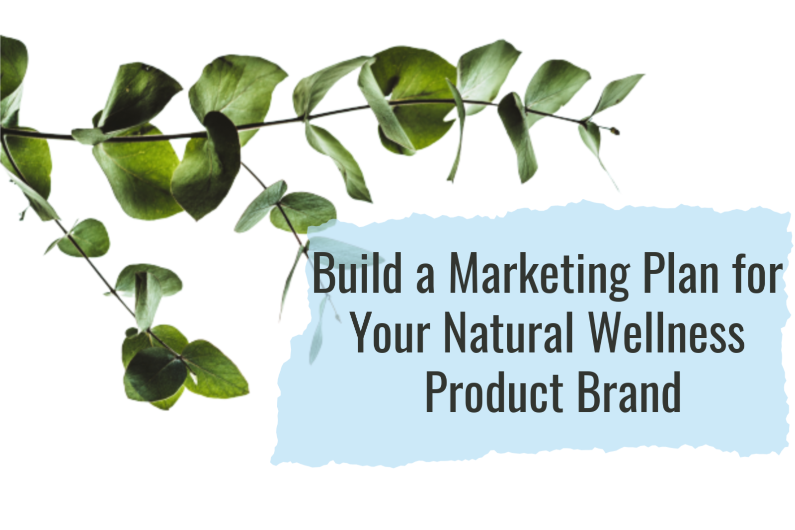 Natural Wellness Marketing Plan